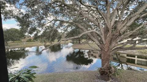 4205 Oak Terrace Drive, Greenacres FL - photo 22 of 29