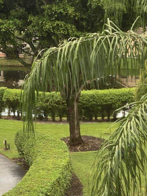 3 bedroom Condominium at 20080 Boca West Drive #448, Laurel Oaks, Boca Raton — photo 2
