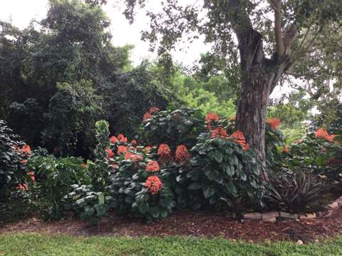 8 Santa Fe Lane, Port St. Lucie FL - photo 19 of 20