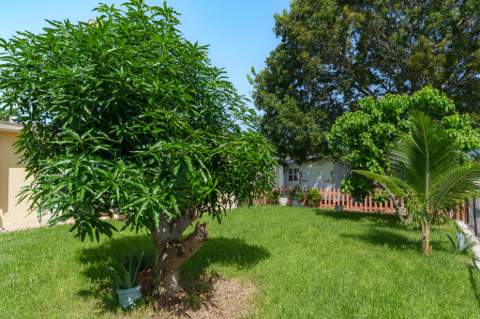 171 NE 28th Court, Boynton Beach FL - photo 15 of 56