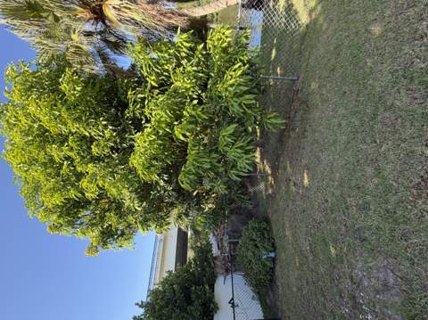 1219 SE Coral Reef Street, Port St. Lucie FL - photo 11 of 26