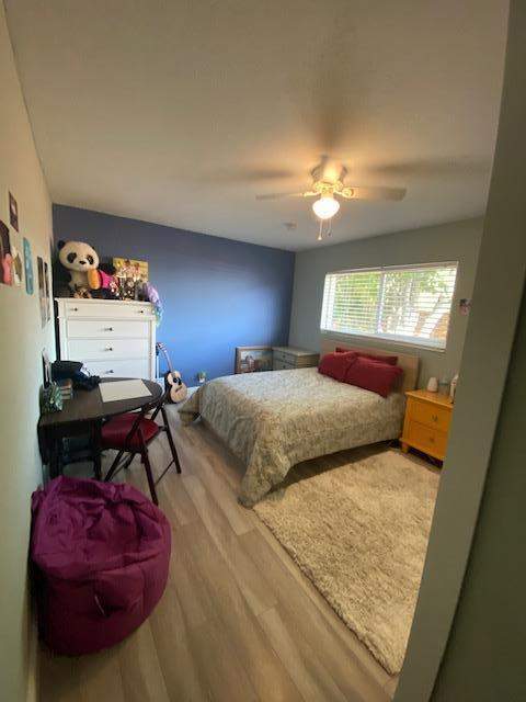 6601 Lake Clarke Drive, Lake Clarke Shores FL - photo 17 of 30