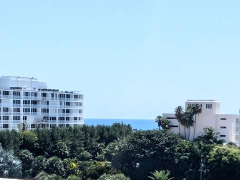 2840 S Ocean Boulevard #6110, Palm Beach FL - photo 6 of 30