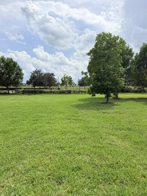 19610 Weathervane Way, Loxahatchee FL - photo 7 of 36