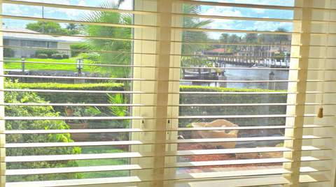 4011 NE 27th Terrace, Lighthouse Point FL - photo 10 of 38