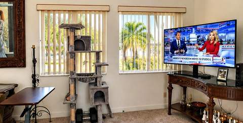 810 SE 22nd Avenue #202, Pompano Beach FL - photo 8 of 25