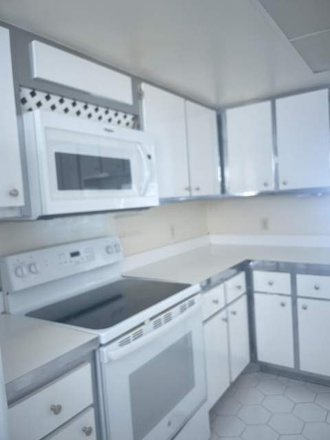 250 John F Kennedy Drive #308, Atlantis FL - photo 6 of 24