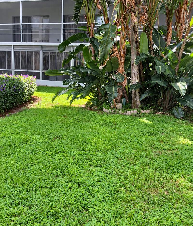 2 bedroom Condominium at 200 Waterway Drive #105, Waterway Club No 1, 2 & 8 Cond As In Dec, Lantana — photo 4