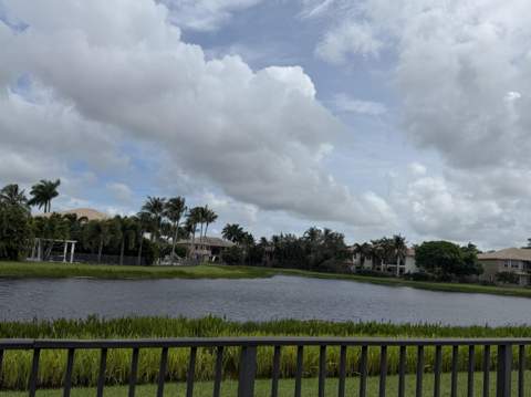 11128 Brandywine Lake Way, Boynton Beach FL - photo 10 of 12