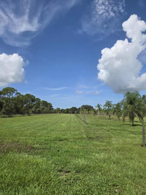 23101 SW Cardamine Street, Indiantown FL - photo 8 of 74