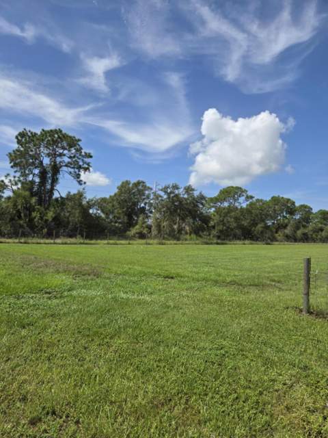 23101 SW Cardamine Street, Indiantown FL - photo 9 of 74