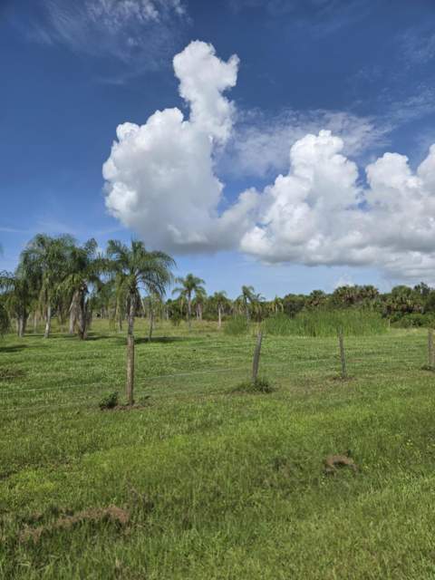 23101 SW Cardamine Street, Indiantown FL - photo 11 of 74