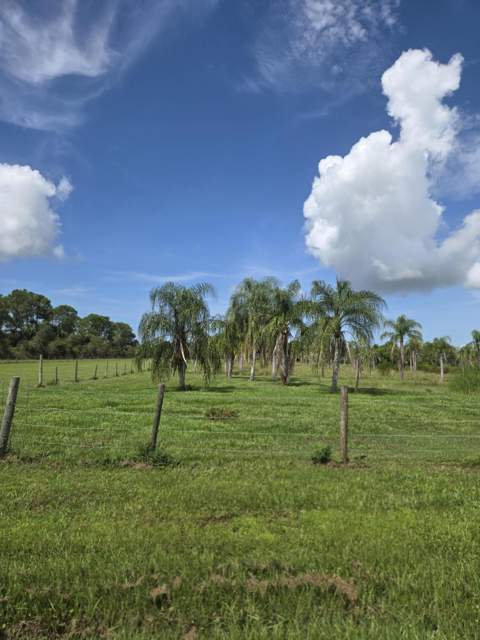 23101 SW Cardamine Street, Indiantown FL - photo 12 of 74