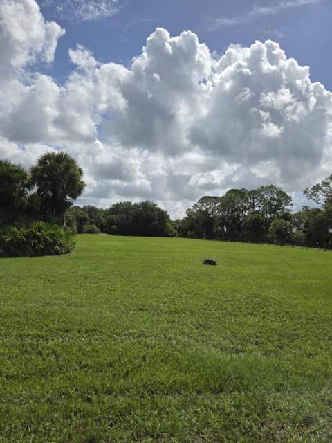 23101 SW Cardamine Street, Indiantown FL - photo 14 of 74