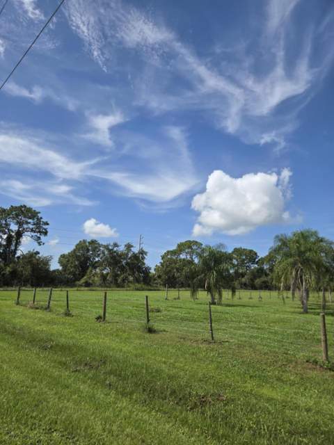 23101 SW Cardamine Street, Indiantown FL - photo 17 of 74