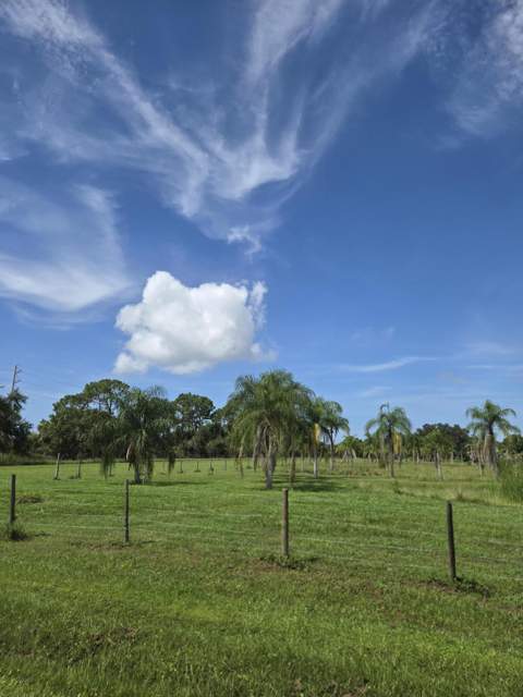 23101 SW Cardamine Street, Indiantown FL - photo 18 of 74