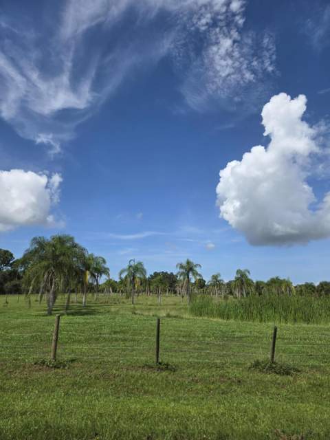 23101 SW Cardamine Street, Indiantown FL - photo 19 of 74