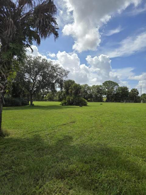 23101 SW Cardamine Street, Indiantown FL - photo 21 of 74