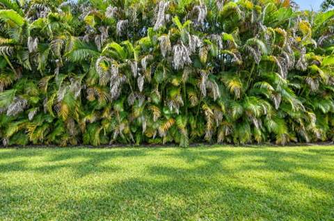 6143 Whalton Street, West Palm Beach FL - photo 21 of 60
