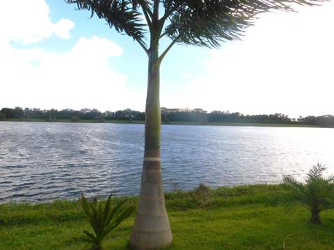 2268 Blue Springs Road, West Palm Beach FL - photo 17 of 18