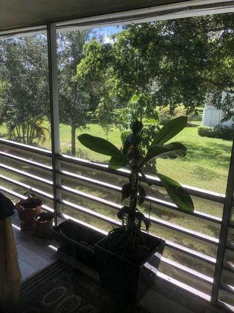 323 Tilford O #323, Deerfield Beach FL - photo 14 of 18