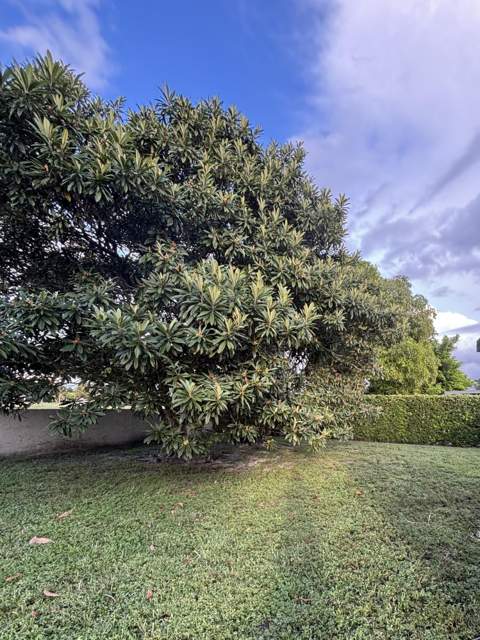 9521 NW 83rd Street, Tamarac FL - photo 11 of 11