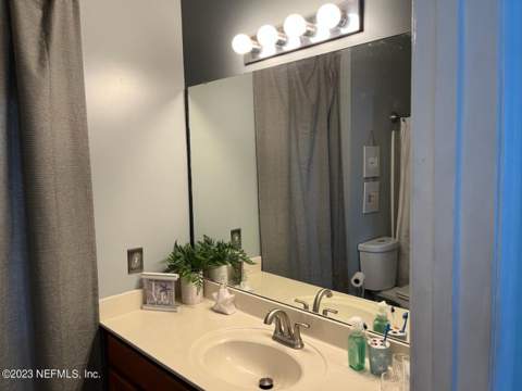 3139 Wandering Oaks Drive, Orange Park FL - photo 21 of 31
