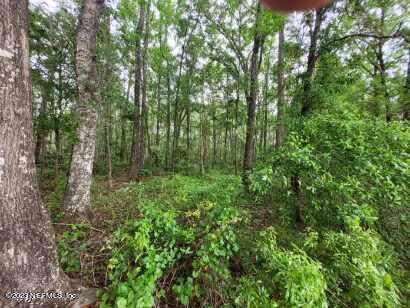 2777 County Rd 220, Middleburg FL - photo 19 of 31
