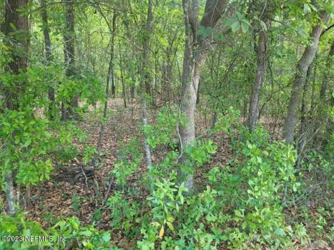 2777 County Rd 220, Middleburg FL - photo 20 of 31