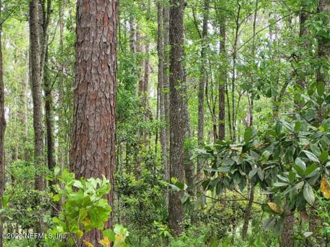 2777 County Rd 220, Middleburg FL - photo 17 of 31