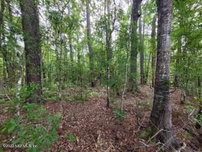 2777 County Rd 220, Middleburg FL - photo 22 of 31