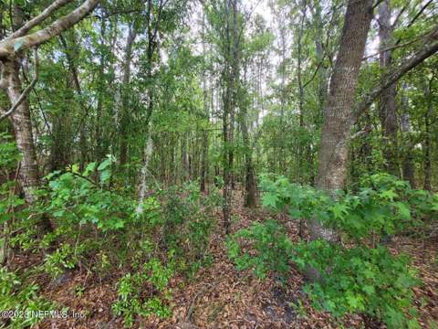 2777 County Rd 220, Middleburg FL - photo 15 of 31