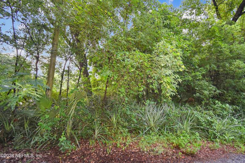 Unimproved Land at 117 B Street, Blakes, Pomona Park — photo 2