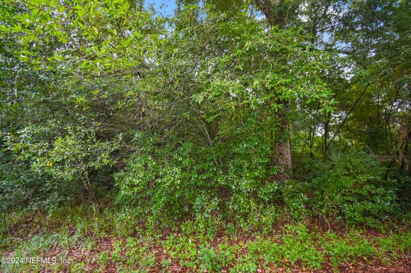 Unimproved Land at 117 B Street, Blakes, Pomona Park — photo 4