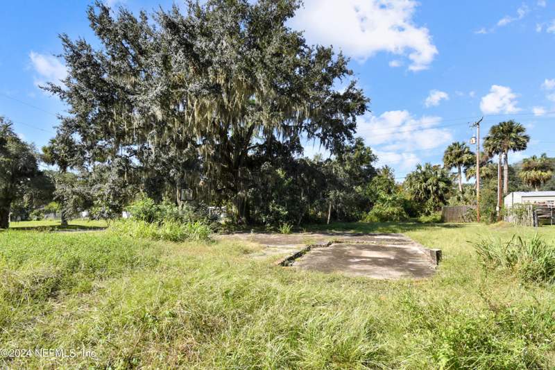 Unimproved Land at 124 Bellray Drive, San Mateo Estates 2, Satsuma — photo 4