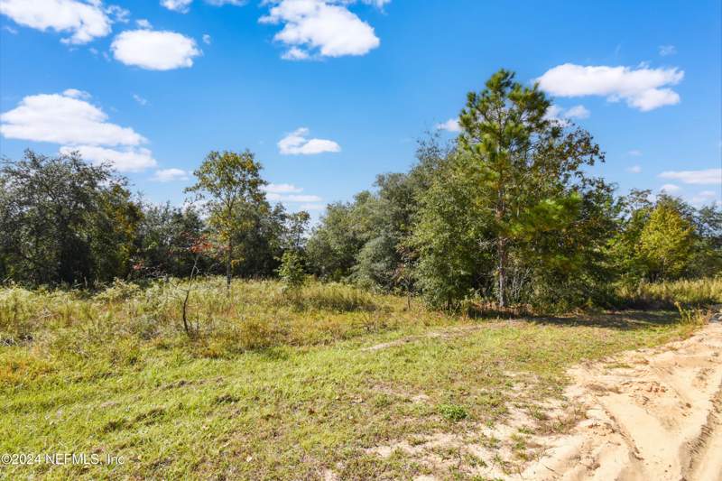 Unimproved Land at 5825 Sequoia Road, Big Tree Lakes, Keystone Heights — photo 2