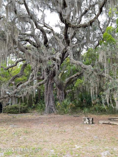 1017 Old Gainesville Highway, Interlachen FL - photo 6 of 26