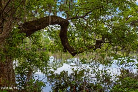 1017 Old Gainesville Highway, Interlachen FL - photo 23 of 26