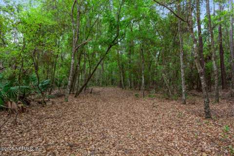 1017 Old Gainesville Highway, Interlachen FL - photo 17 of 26