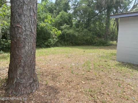 2552 Spirea Street, Jacksonville FL - photo 8 of 8