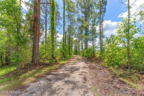 2995 Thunder Road, Middleburg FL - photo 6 of 34