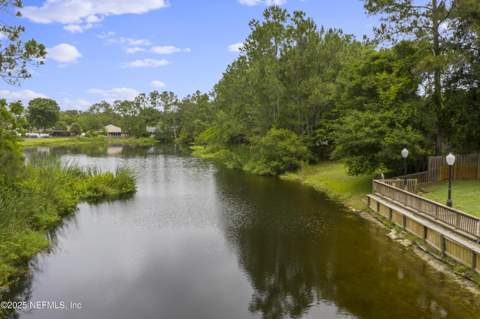 4041 Pine Run Circle, St. Augustine FL - photo 8 of 57