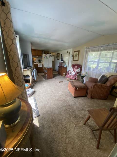 148 Swan Lake Drive, Melrose FL - photo 10 of 30