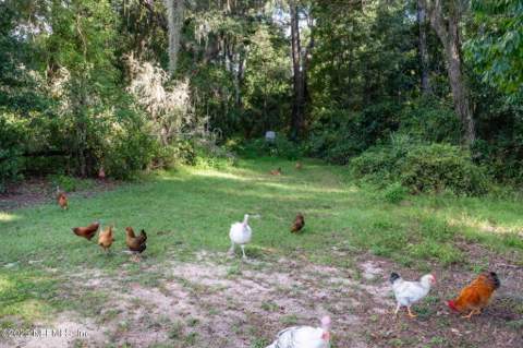 105 Dairy Road, Melrose FL - photo 11 of 93