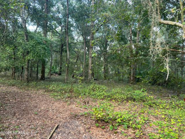 126 WILLOW Lane, home for sale in Hawthorne