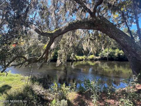 4299 Hawk Haven Road, Middleburg FL - photo 6 of 101