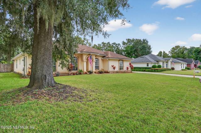 Tiffany Oaks