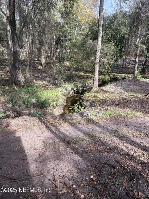 2226 State Road 16, Green Cove Springs FL - photo 13 of 22