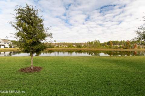 10307 Benson Lake Drive, Jacksonville FL - photo 6 of 28