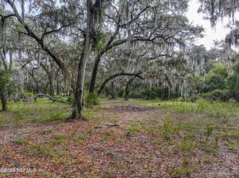 13550 County Road 13, St. Augustine FL - photo 23 of 33